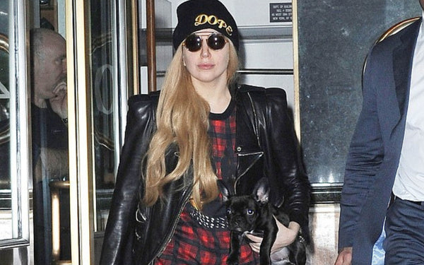 帽子 Lady GaGa OWHH BLACK GRAY BEANIE Lady Gaga | Off With Her Head Gray + Black Beanie